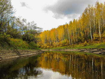 Scenic view of lake amidst trees in forest against sky