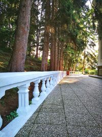 Footpath in park