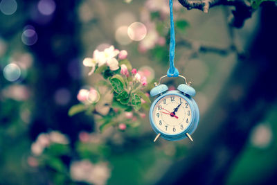 Close-up of clock against blurred background