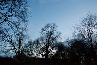 Low angle view of silhouette trees against sky