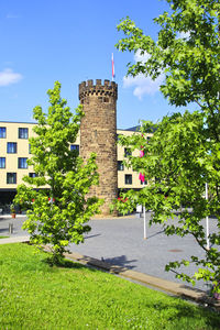 Tree by building in city against sky