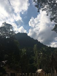 Low angle view of trees against sky