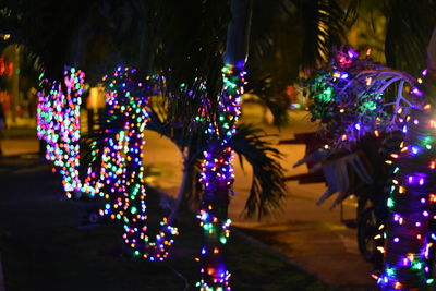 Illuminated christmas tree at night