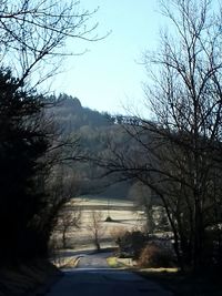 Road amidst bare trees against sky during winter