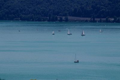 Sailboats sailing in sea
