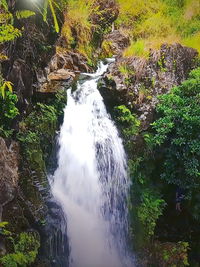 Scenic view of waterfall in forest