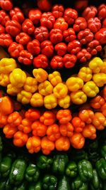 Full frame shot of oranges at market stall