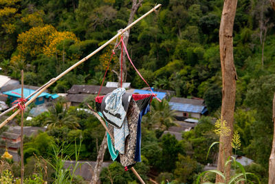 Bird repellant asia