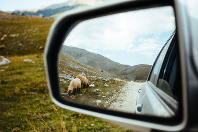 Reflection on side-view mirror of car