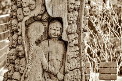 Close-up of tree trunk