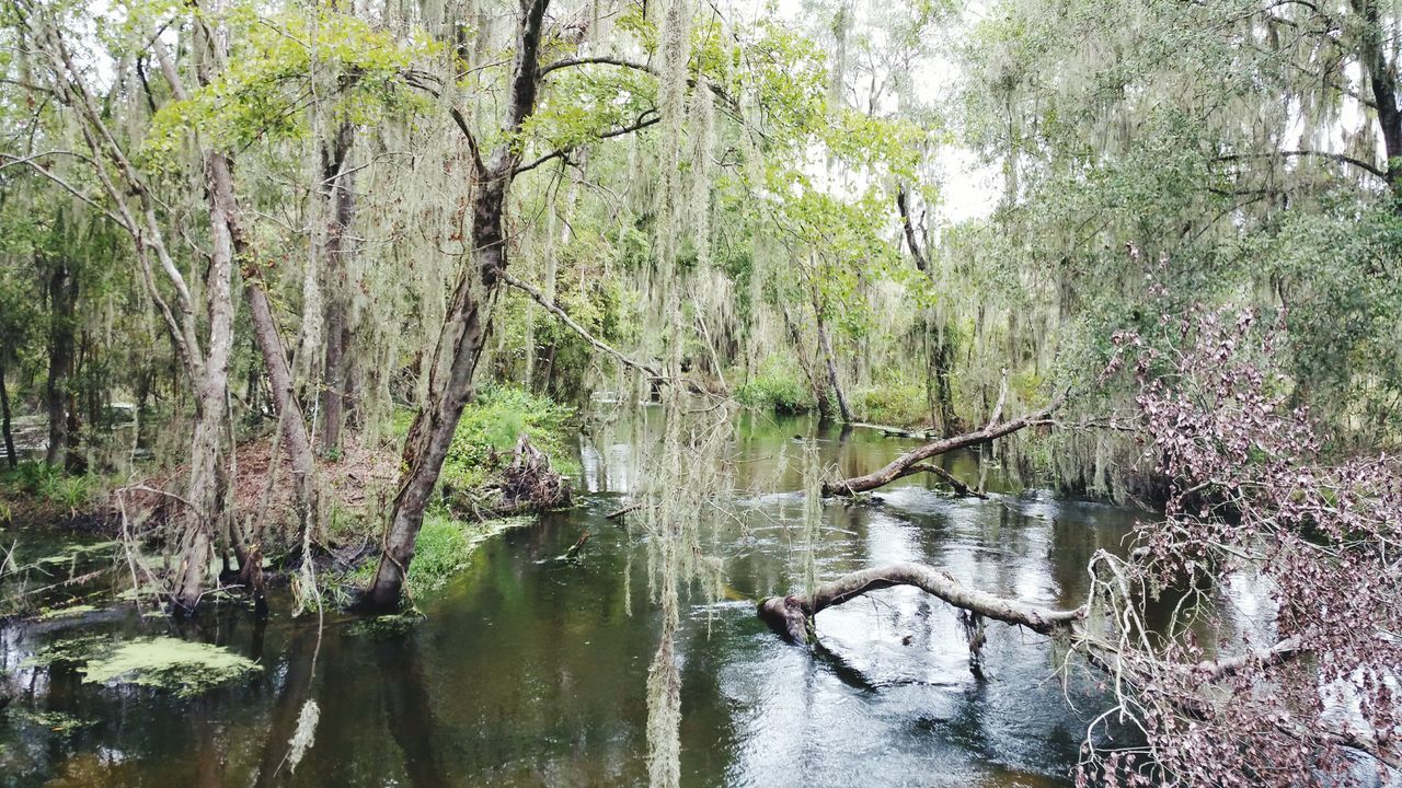 Swift Creek Historic Church And Cemetery