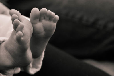 Low section of baby feet