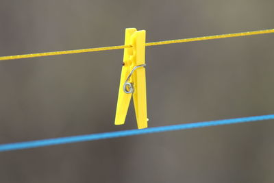 Close-up of clothespins hanging on rope