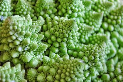 Full frame shot of romanesco broccoli