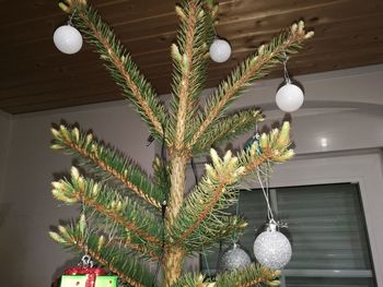 Low angle view of illuminated christmas tree at home