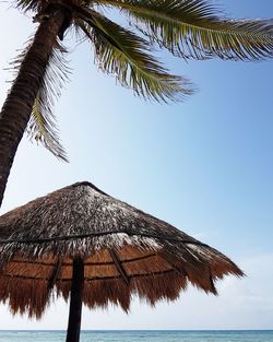 Low angle view of palm tree against clear blue sky