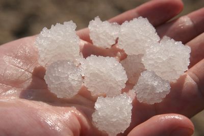 Cropped hand with dead salt minerals on sunny day