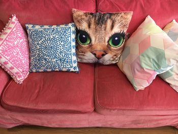 High angle view of pillows arranging on sofa at home