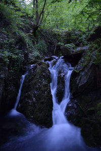 Scenic view of waterfall in forest