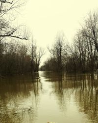Scenic view of calm lake at sunset