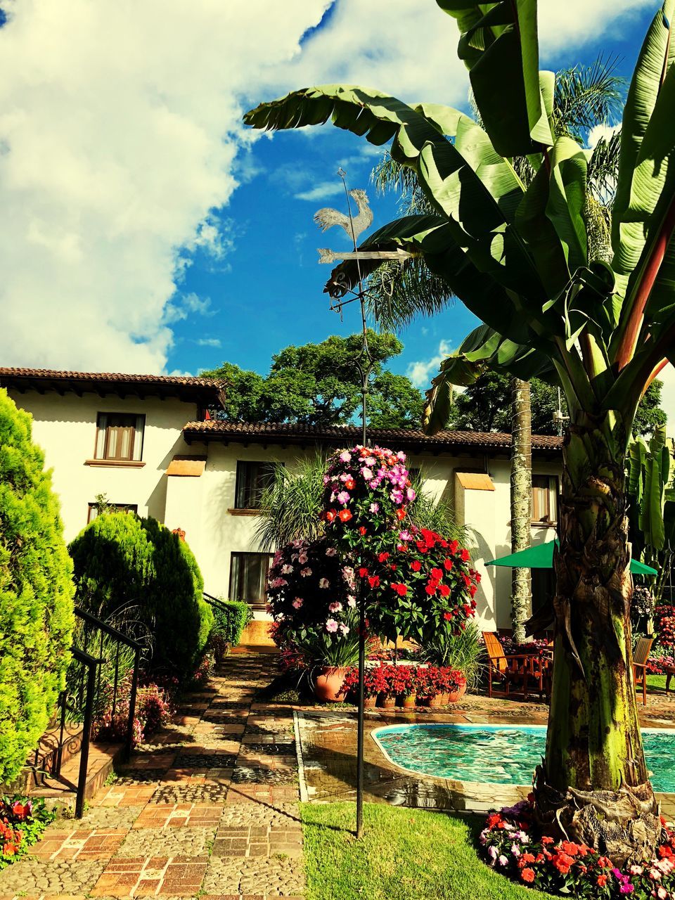 plant, architecture, built structure, building exterior, tree, sky, cloud - sky, nature, growth, building, day, flower, flowering plant, no people, house, front or back yard, residential district, outdoors, beauty in nature, grass