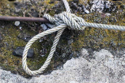 Close-up of rope tied on wood