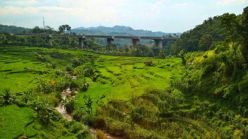 Scenic view of landscape against sky