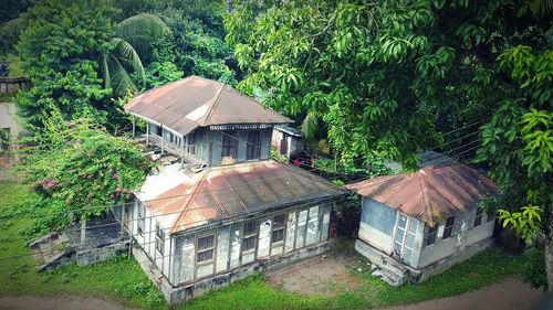 House with trees in background