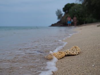 Surface level of sea shore