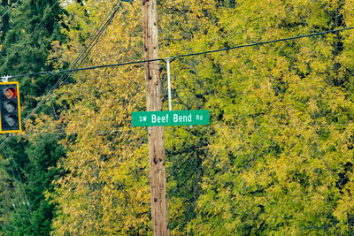 Road sign by trees in forest