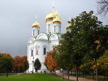 View of trees and building against sky