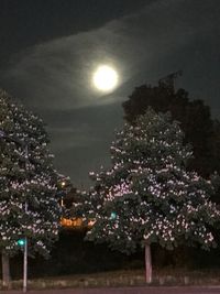 Illuminated tree against sky at night