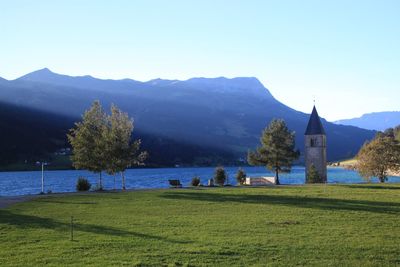 Scenic view of field against clear sky