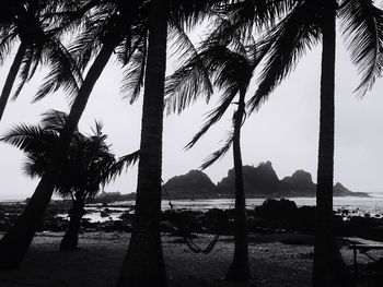 Silhouette trees against sky at sunset