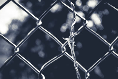 Close-up of chainlink fence