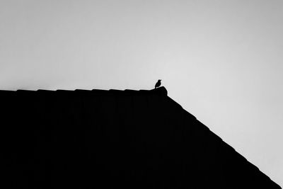 Low angle view of silhouette bird perching on the sky