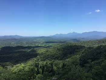 Scenic view of agricultural field against blue sky