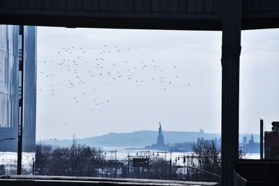 Birds flying in sky seen through glass