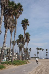 Road by palm trees against sky