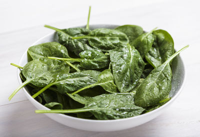 High angle view of fresh spinach in bowl on table