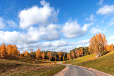 A winding rural road curves through autumn trees in latvia