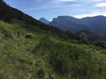 Scenic view of landscape against sky