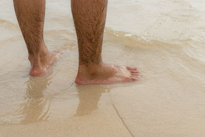 Low section of person standing on wet sand at beach