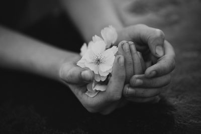 Cropped hands holding flowers on table