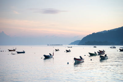 Silhouette swans on sea against sky during sunset