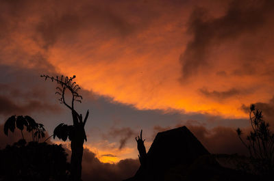 Low angle view of silhouette trees against dramatic sky