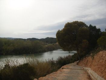 View of road along trees