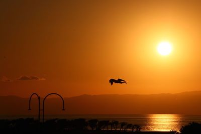 Silhouette bird flying over sea against orange sky