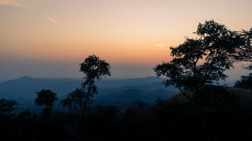 Silhouette trees against sky during sunset