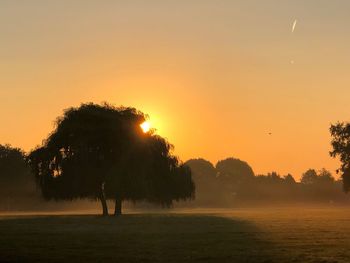 Silhouette trees on field against sky during sunset